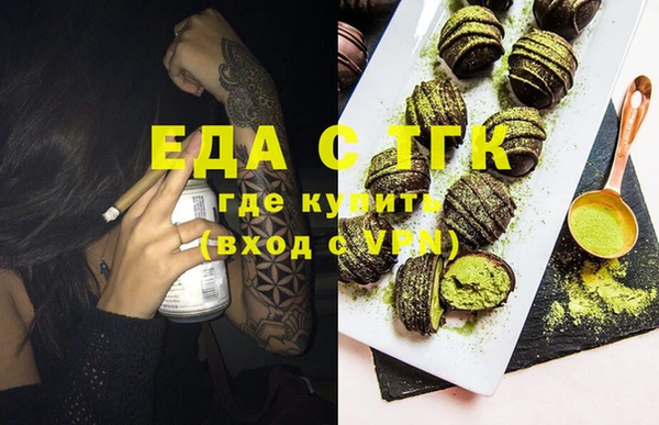 крисы Бородино