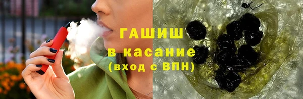 крисы Бородино