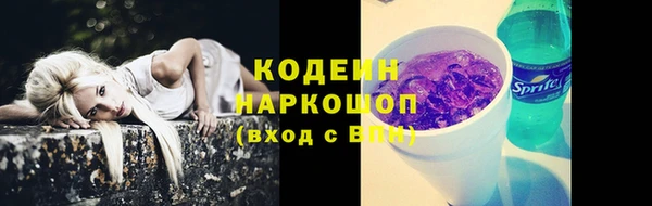 крисы Бородино