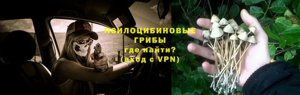 крисы Бородино