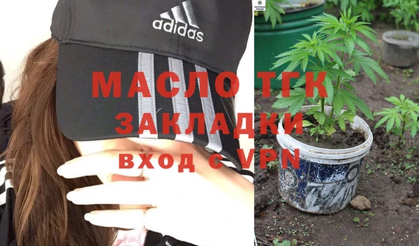 крисы Бородино