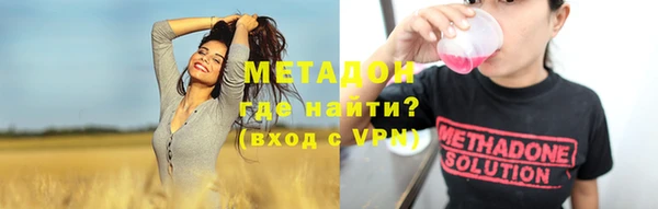 крисы Бородино