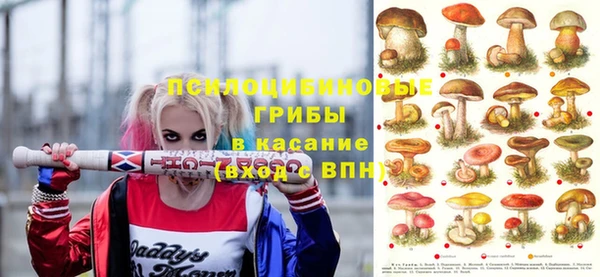 крисы Бородино
