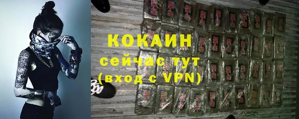 крисы Бородино