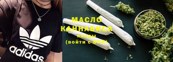 крисы Бородино