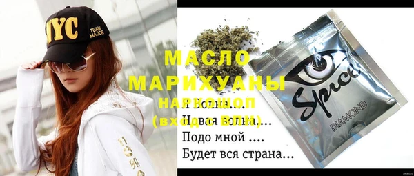 крисы Бородино