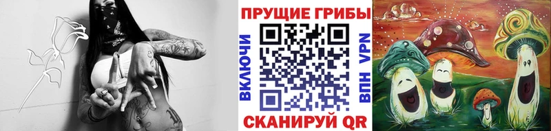 наркотики  Керчь  Псилоцибиновые грибы мухоморы 